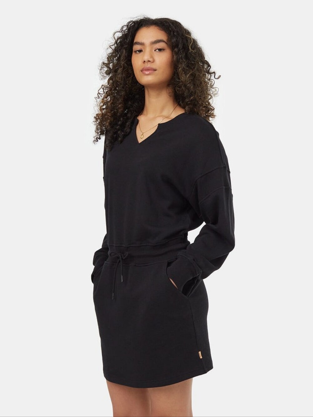 tentree Tree Terry Sweatshirt Dress